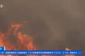 部分地区现“火龙卷”！美西部野火持续，过火面积超323平方公里图片