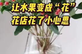 “凤梨花”与“番茄花”斗艳，花店淡季花了点小心思图片