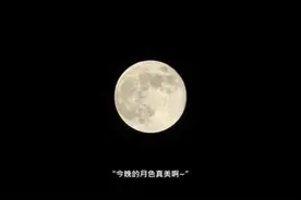 YYDS、yygq，每天用缩写，人会变傻吗？图片