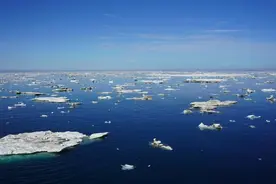 北冰洋“热”到几乎没有冰，中国集运班轮穿梭北极航道图片