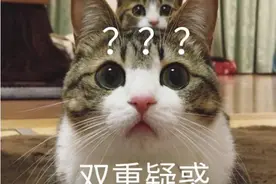 这样卖水果，违法！南北水果市场一商户被罚3万多图片