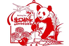 长公主的排面！大熊猫“丫丫”今天生日 动物园精心准备图片