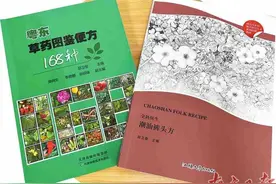 “潮汕青草水”：夏日消暑良方图片