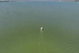 吃货注意了！长芦汉沽盐场开捕今年第一网螃蟹图片