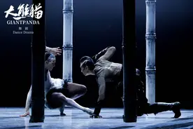 舞剧《大熊猫》成都热演 惊艳世界观众图片