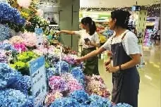 “凤梨花”与“番茄花”斗艳  水果鲜切花盛夏走俏图片