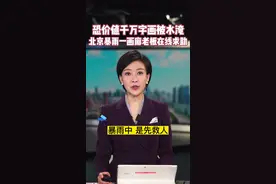 恐价值千万字画被水淹 北京暴雨一画廊老板求助图片