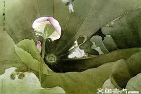 荷蕊戏蜻蜓.夕阳如歌图片