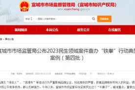 【安徽】宣城市市场监管局公布2023民生领域案件查办“铁拳”行动典型案例（第四批）图片