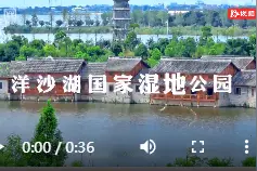 美隅收藏夹｜撒欢、喂食、亲密接触！ 湘江新区这个“动物乐园”让你欢乐一“夏”图片