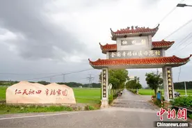 湖南“博士村”传承“勤耕重读”家风 以文促产育产业图片