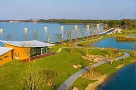 砍树201棵，要买这种“秘密武器”187吨来补偿图片