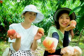香甜时光 “桃”你欢喜 ！咸丰太平沟水蜜桃熟了图片