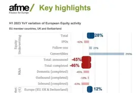 仅34家！上半年欧洲IPO数量为何跌至2009年来最低图片