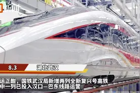 实探武铁最新复兴号高铁：车身更靓丽更灵动，旅客乘坐舒适度再提升图片