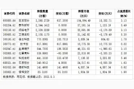 社保基金持仓露端倪图片