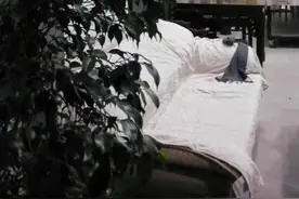 工作室之殇图片