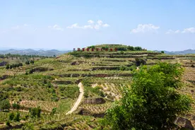 美了乡村富了百姓 “产业+生态”让米脂旧貌换新颜图片