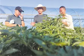 万丈雄心 一瓶领鲜——彭凤祥和他的坛坛香图片