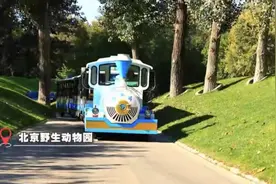 打卡京郊宝藏动物王国 畅游花海世界邂逅浪漫时光图片