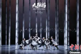 （成都大运纪事）全球记者共赏舞剧《大熊猫》 感受大运热潮中的东方美学图片