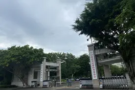 海南省纪委干部被举报放高利贷续：其已退休，机关纪委正调查图片