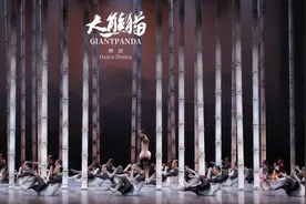 舞剧《大熊猫》公演圆满结束，观众：艺术盛宴令人难忘图片