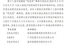 江苏大剧院原创民族舞剧《红楼梦》喜摘“荷花奖”，何以问鼎？图片