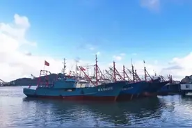 刚刚，东海开捕！图片