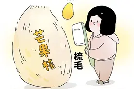 给芒果核梳毛，年轻人梳了个“寂寞”？图片