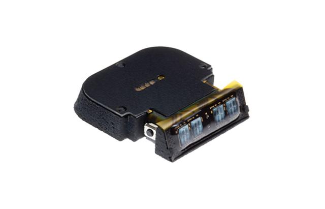 ����5�� ��������ʥ�������ŵ�Ʒ��