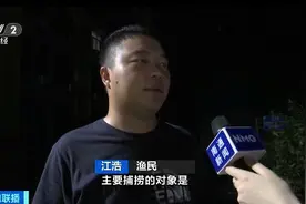 近万艘渔船解禁出海！江苏、浙江等地开启伏季休渔后“第一捕”图片