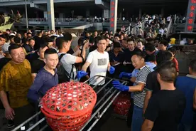 舟山沈家门第一风梭子蟹来了，价格如何？挑蟹的秘诀是什么？图片