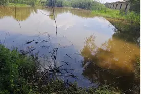 湖北大冶：尾矿库溃坝后的6年生态修复之路图片