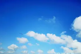 韩昶国：要有真实的情感图片