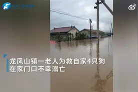 60多岁大爷蹚水回家救四条爱犬，在家门口不幸溺亡，目击者：大家都不让他去，拦不住图片