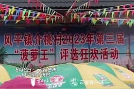 云南的节日数不清！“菠萝”也有节图片