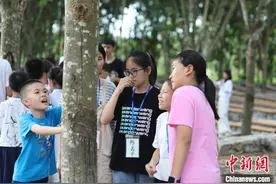 中国科学家进一步探明橡胶树驯化的遗传机制图片