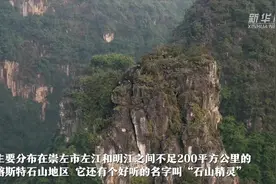 国道之行 从雪山奔向大海｜身上爬满蚊虫，他们笑看“石山精灵”翩翩起舞图片