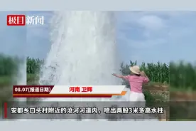 河南一村庄河道3米高水柱喷涌数日，水利局：系灌溉水管阀门损坏图片