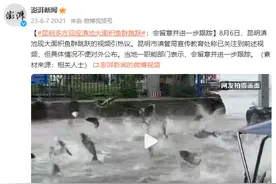 昆明多方回应滇池大面积鱼群跳跃：会留意并进一步跟踪图片