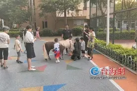 厦门松柏某小区来了只“新宠物”图片