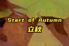 双语｜立秋：风吹一片叶，万物已惊秋图片