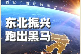 跨过“漫长的季节” 东北振兴跑出“黑马”图片