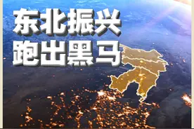跨过“漫长的季节” 东北振兴跑出“黑马”图片