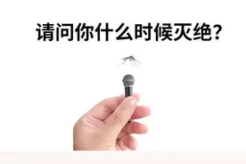 蚊子为啥总叮你？它们对血型真的有偏好吗？图片