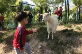 新生减少，公办园也焦虑，潍坊幼儿园招生“冷”“热”不均图片