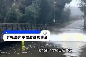 车辆泡水，如何理赔？看这一条就够了！具体标准，戳视频！图片