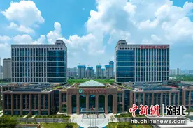 武汉市中心医院杨春湖院区启用 400万居民有新“医”靠图片