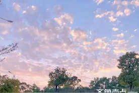 光阴摇摇晃晃，丢失的从来不是时光图片